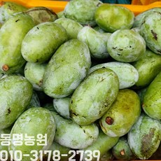 포포과일