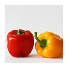 산지직송 친환경재배 파프리카 2kg 익산원예농협 (빨강/노랑), ONE COLOR, ONE SIZE