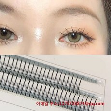 일본속눈썹