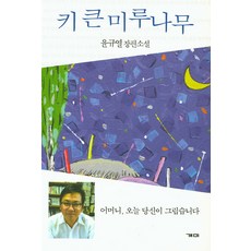 개미소설