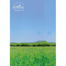 동영상앨범