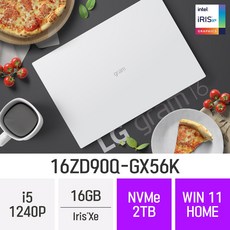 LG전자 그램16(12세대) 16ZD90Q-GX56K, 16GB, Win11 Home, 2TB