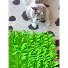 고양이 노즈워크 강아지 잔디 실리콘 장난감 간식 식사 매트 느린 다이어트 속도 조절 반려 동물, 1개