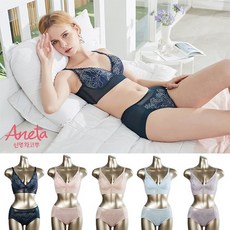 [신영와코루] 아네타 인견 레이스 텐션업 브라_A05
