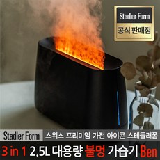 스테들러폼가습기