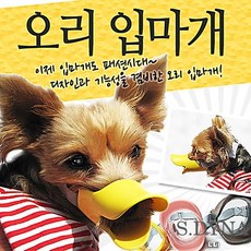 보더콜리입마개