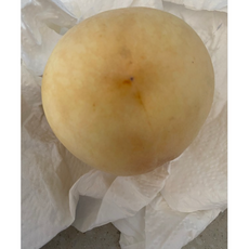 눈꽃 설아 복숭아 가정용 선물세트 [원산지:국산], 1개, 2.5kg 특대과