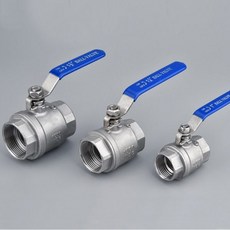npt1013