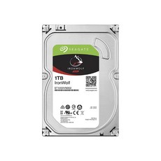 씨게이트 아이언울프 NAS 3.5 SATA HDD, ST1000VN008, 1TB