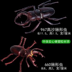 컬렉타사슴벌레