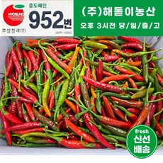 <해돋이농산> 국내산 못난이 햇 청양고추 매운고추 상품 10kg (1박스), 10kg 상 1박스, 1개” width=”90″ height=”90″><span class=