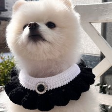 강아지옷뜨개질방법