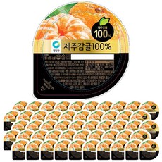 청정원 제주감귤100 100ml, 50개