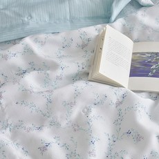 세사키즈인견이불