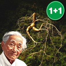 강원도 산양산삼 실속형 산삼 10뿌리 1박스 3g 상품 이미지