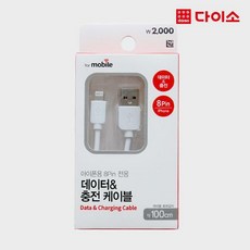 쿠팡! - 다이소8핀젠더