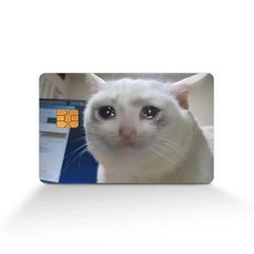 슬픈 우는 고양이 밈 신용 체크 카드 스티커 재미있는 친구 선물, A-1pc