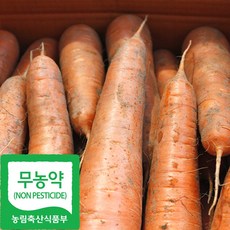 국내산 무농약 햇 흙 당근, 1박스, 2kg(중)