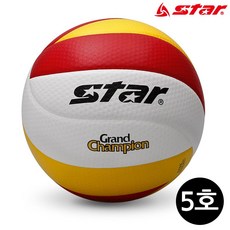 [아낌없이주는나무] (5호) 스타 224-34S) 그랜드 배구공 (VB 챔피언2 S/N 1921 NO: +나뭏 UN/0110 KS7806E7