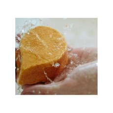 러쉬써니사이드