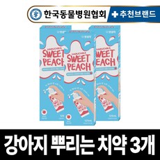 펫생각 강아지 뿌리는 치약 구강 청결제 덴탈 스프레이 복숭아향 구취 치석 입냄새 제거, 3개, 125ml - 강아지치석제거스프레이