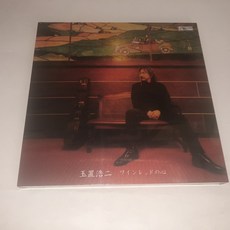 안전지대lp