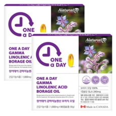 감마리놀렌산 GLA 보라지 꽃 오일 HDL 프로스타글란딘 1000mg 180캡슐 6개월, 180정, 1개