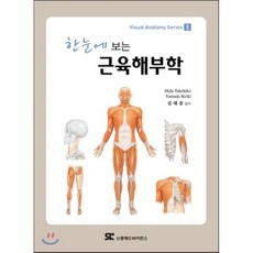 근막경선해부학엘스비어