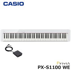 카시오px-s1100