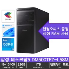 삼성 데스크탑5 DM500TFZ-L58M 13세대 i5-13400 32GB램 SSD 1TB 윈도우11 프로