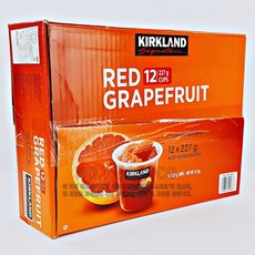 코스트코자몽컵