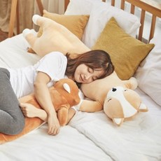 이몽바디필로우