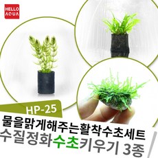 2dd77affd3612cf4092d80168dc0d80bd904dafebf1d22f2cdbc7dbf7938.jpg