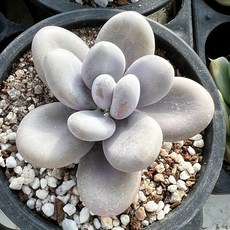 주류박람회티켓