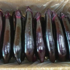 가지 1박스 1박스 (5kg), 1개