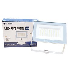 장수램프 LED 사각 투광등 30W (IP67방수), 검정, 전구색(3000K), 1개