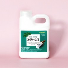 GAMDONG 100% 감동 프리미엄 과탄산소다 500그램, 1통, 500g