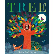 Tree: A Peek-Through Board Book Board Books, Doubleday Books for Young R..., English, 9780593181775
