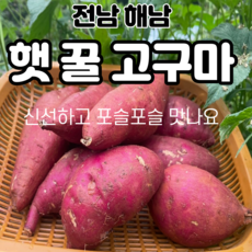 찐고구마