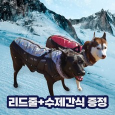 대형견패딩 강아지 중형견 애견 패딩조끼 패딩하네스 겨울옷, 블루, 1개