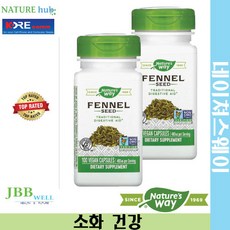 네이쳐스웨이 펜넬 씨드 480mg 비건 캡슐 100정 2개 / Nature's Way Fennel Seed 480 mg Exp. 2024/09