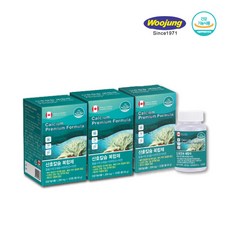 우정약품 산호칼슘복합제 120T 4개월분 x3 코랄칼슘 + 마그네슘 + 비타민D + 아연, 3개, 360정