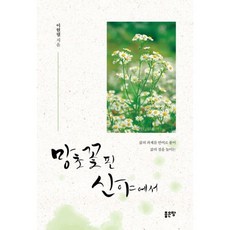 망초꽃 핀 산야에서