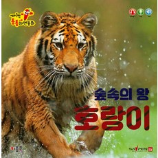 무궁화꽃이피었습니다동화