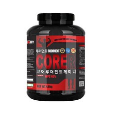 코어리퀴드240r