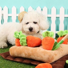 노즈워크주말농장