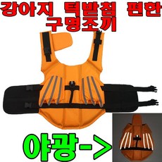 런웨이멍멍구명조끼