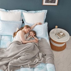[에어룸] 쿨 메쉬 북극토퍼2장+베개솜세트_3colors(SK), 옵션:블루SK