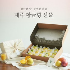 제주 황금향 선물세트, 1개