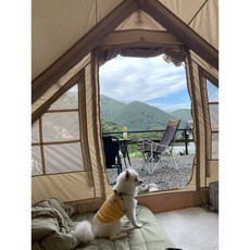 CAMPING DECO 네이처하이크 빌리지6.0 카페트 지퍼연결 가방포함, 모던베이지, 빌리지6.0(지퍼연결+가방+발매트)